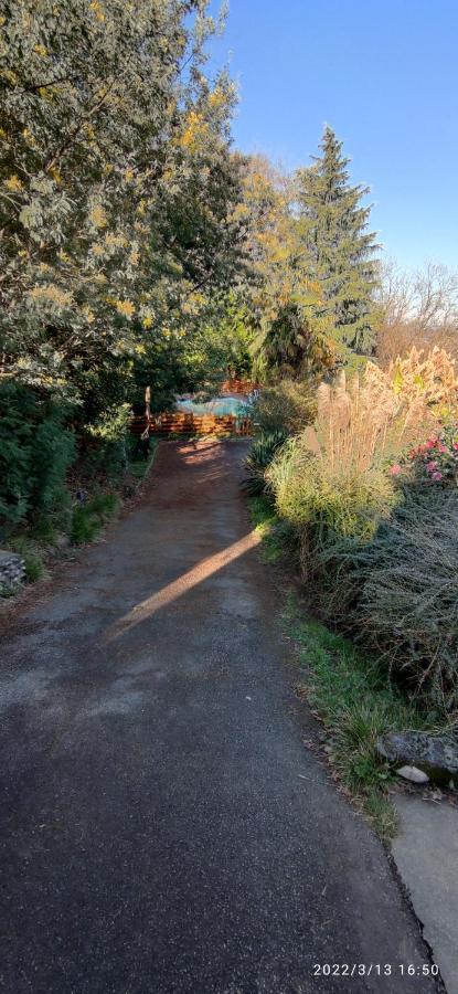 B&B En Plein Coeur De La Foret Artiguelouve Экстерьер фото